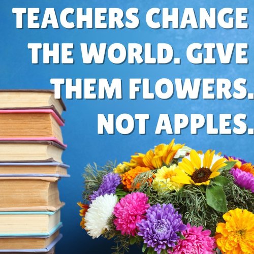 Photo post from fallonsflowers.