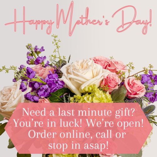 Photo post from fallonsflowers.