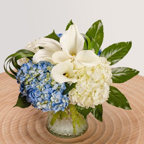 Photo post from fallonsflowers.