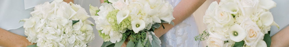 Click here for Wedding info