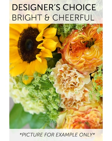 Designer's Choice - Bright and Cheerful